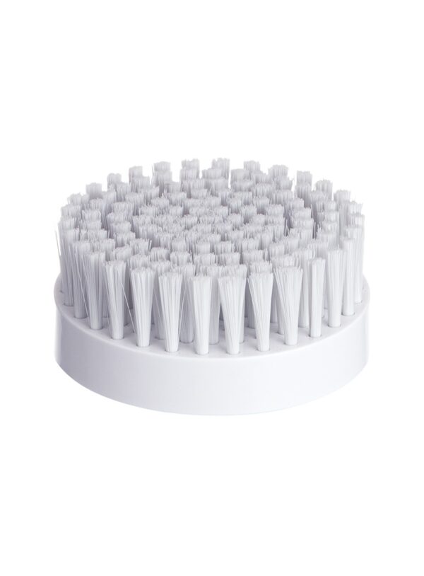 Brosse sans adapteur