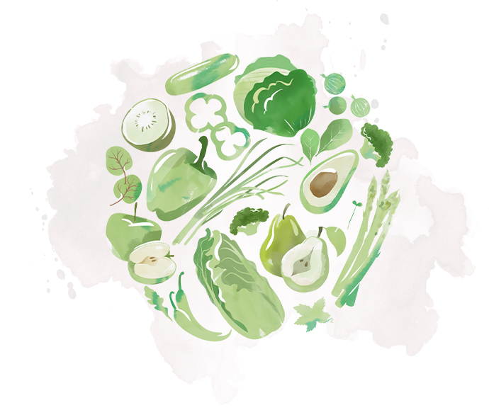 tiles-big_03-2024_lr-hm_leber-schutz (1)